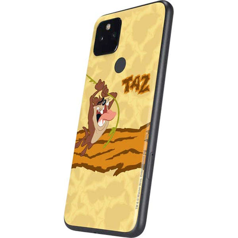 Looney Tunes Tasmanian Devil Rope Swing Google Pixel 5a Skin